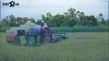 استجابة فورية لتعليق الفلبين على واردات الأرز لمدة 60 يومًا الآن